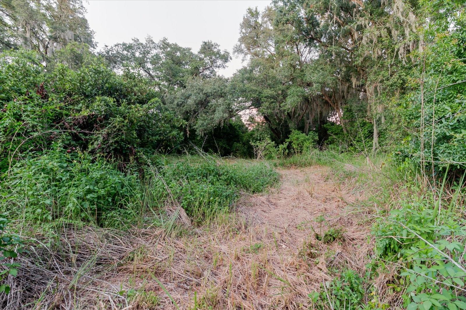 11152 Galaxy Ln Property Photo 68
