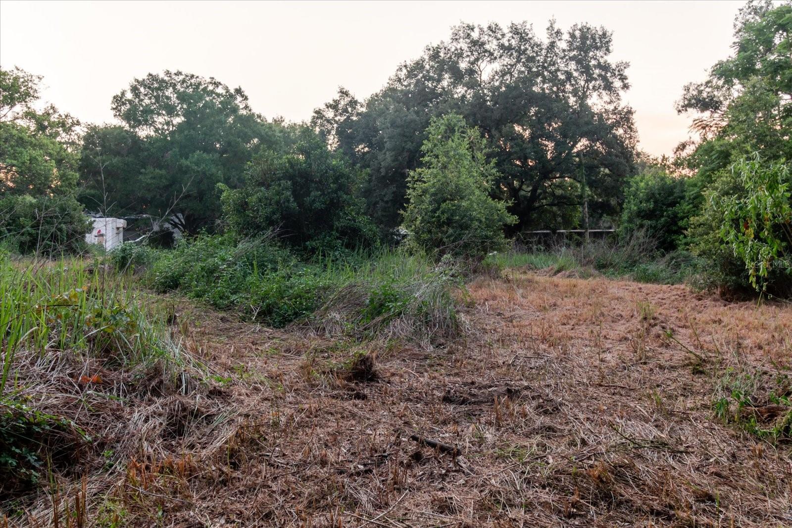 11152 Galaxy Ln Property Photo 69