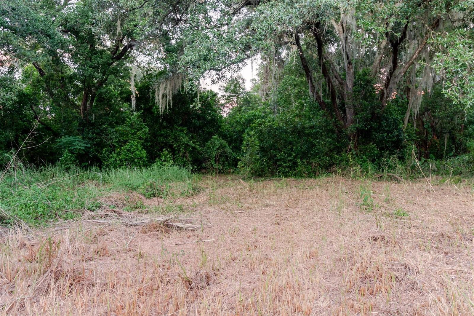 11152 Galaxy Ln Property Photo 70