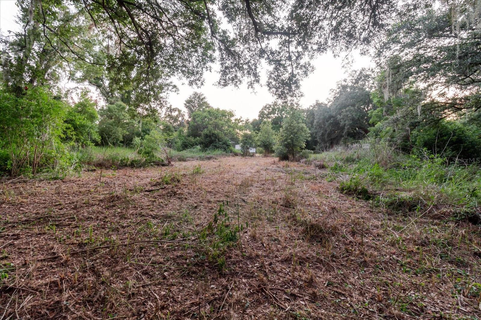 11152 Galaxy Ln Property Photo 71