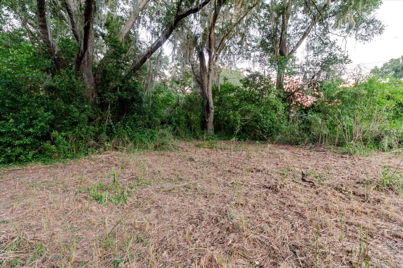 11152 Galaxy Ln Property Photo 72