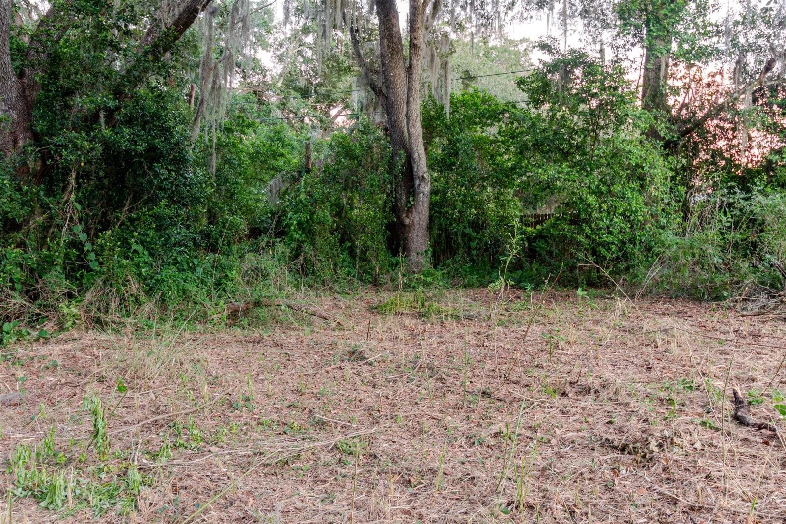 11152 Galaxy Ln Property Photo 73