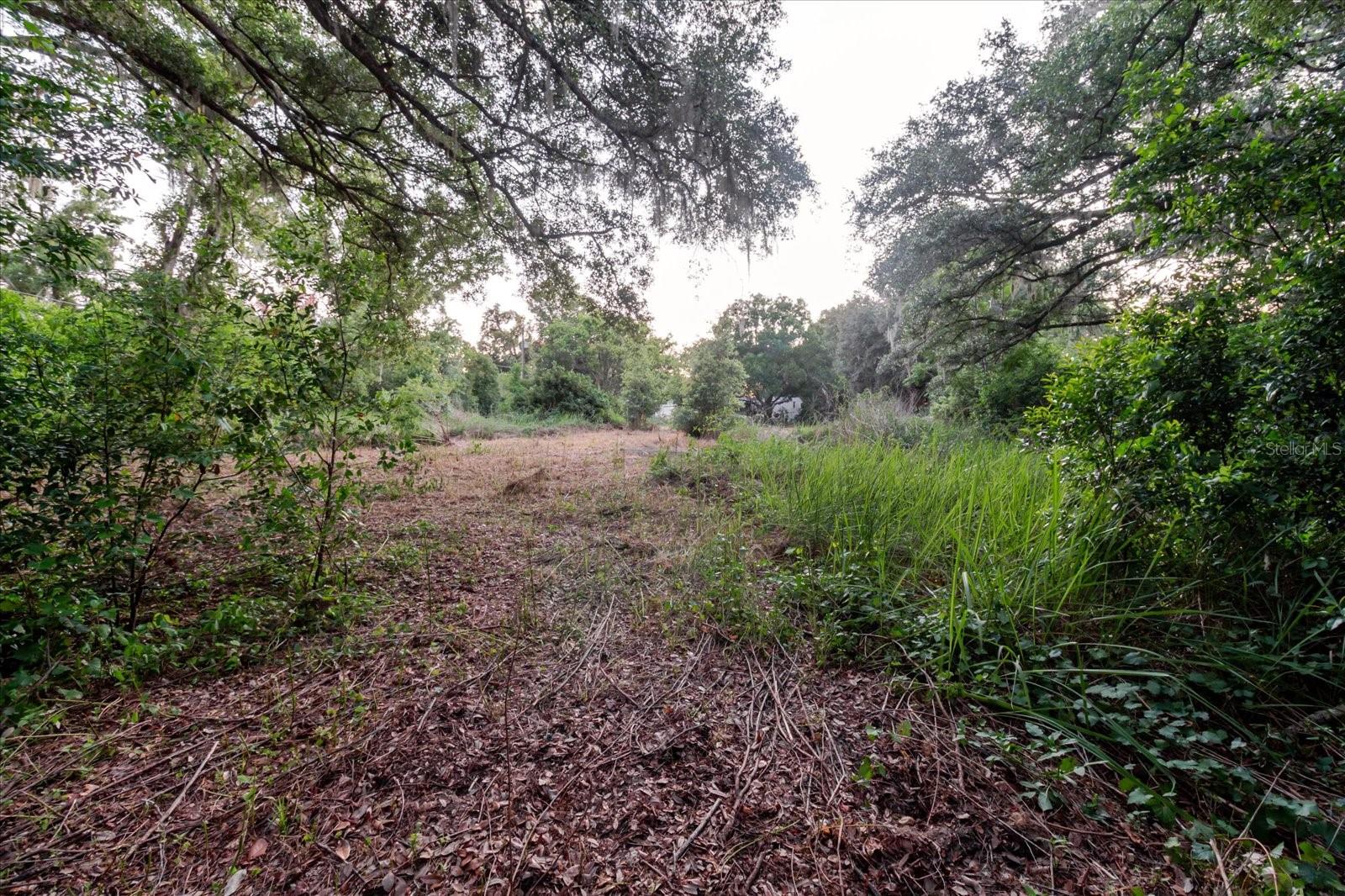11152 Galaxy Ln Property Photo 74