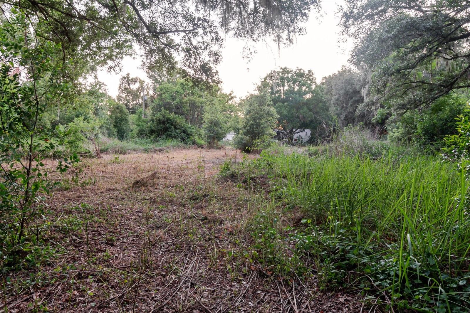 11152 Galaxy Ln Property Photo 75