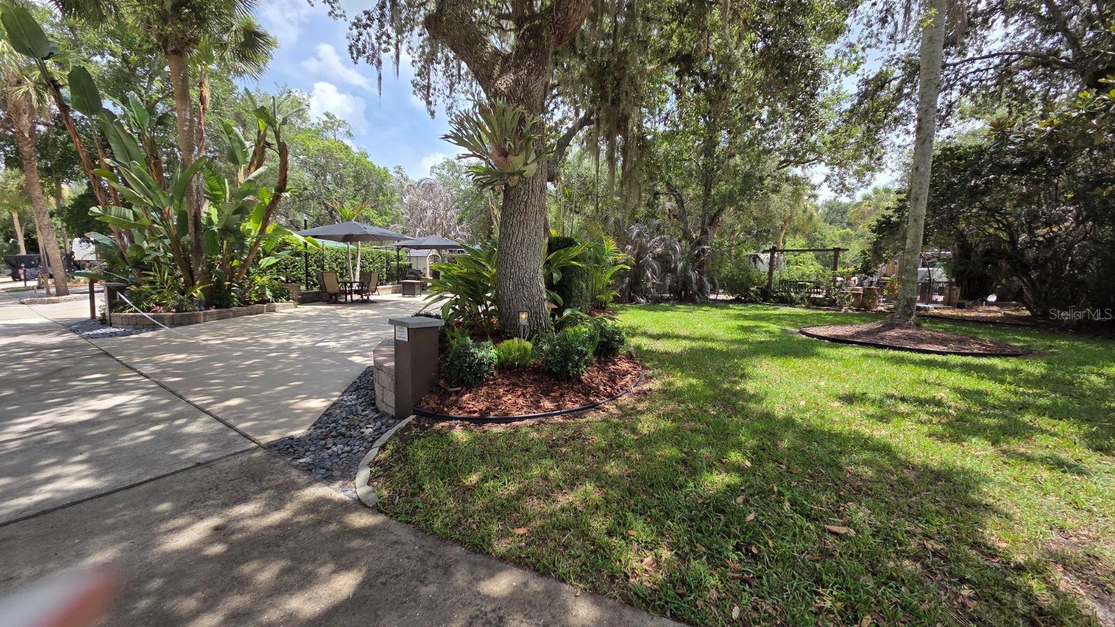 233 Stallion Ln Property Photo 4