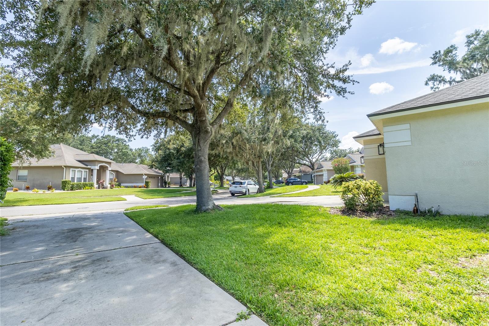 12526 River Birch Dr Property Photo 14