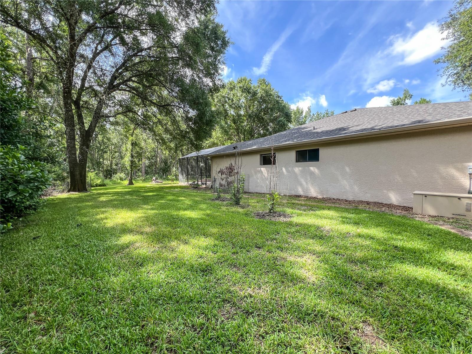 9020 Shenandoah Run Property Photo 46