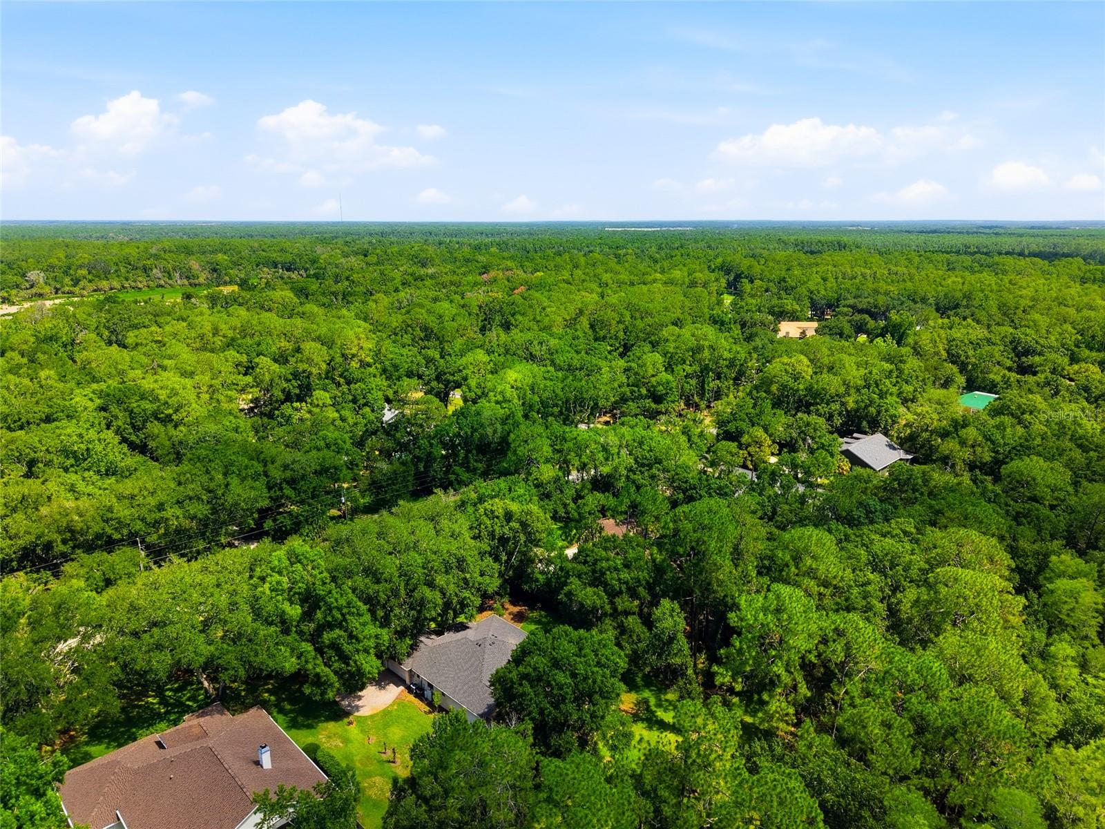 9020 Shenandoah Run Property Photo 58