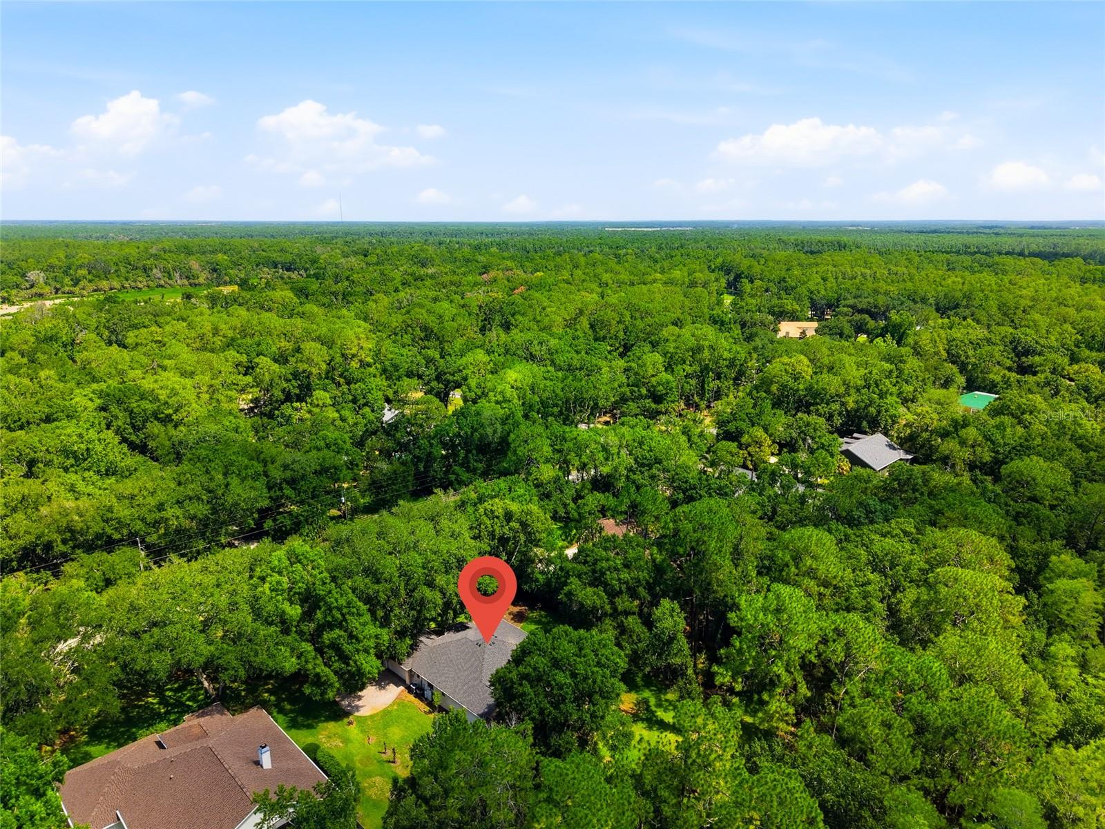 9020 Shenandoah Run Property Photo 59