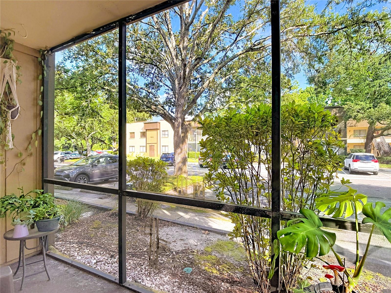 11805 Raintree Lake Ln #b Property Photo 31
