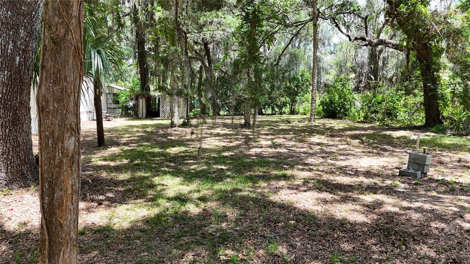 11310 W Yellow Oak Ln Property Photo 3