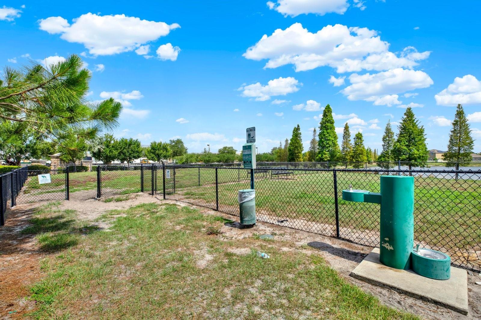 10109 Crested Fringe Dr Property Photo 28