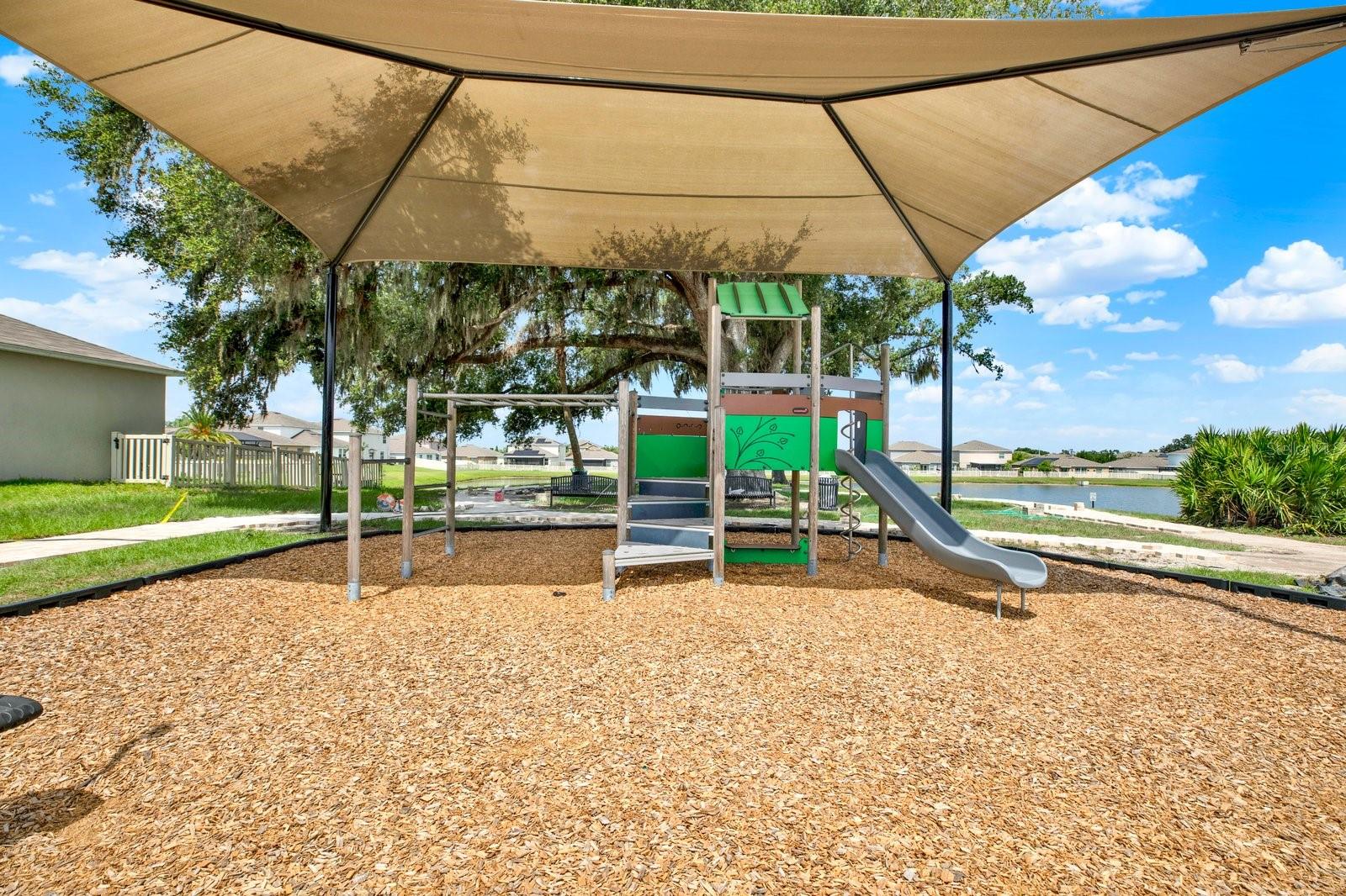 10109 Crested Fringe Dr Property Photo 29