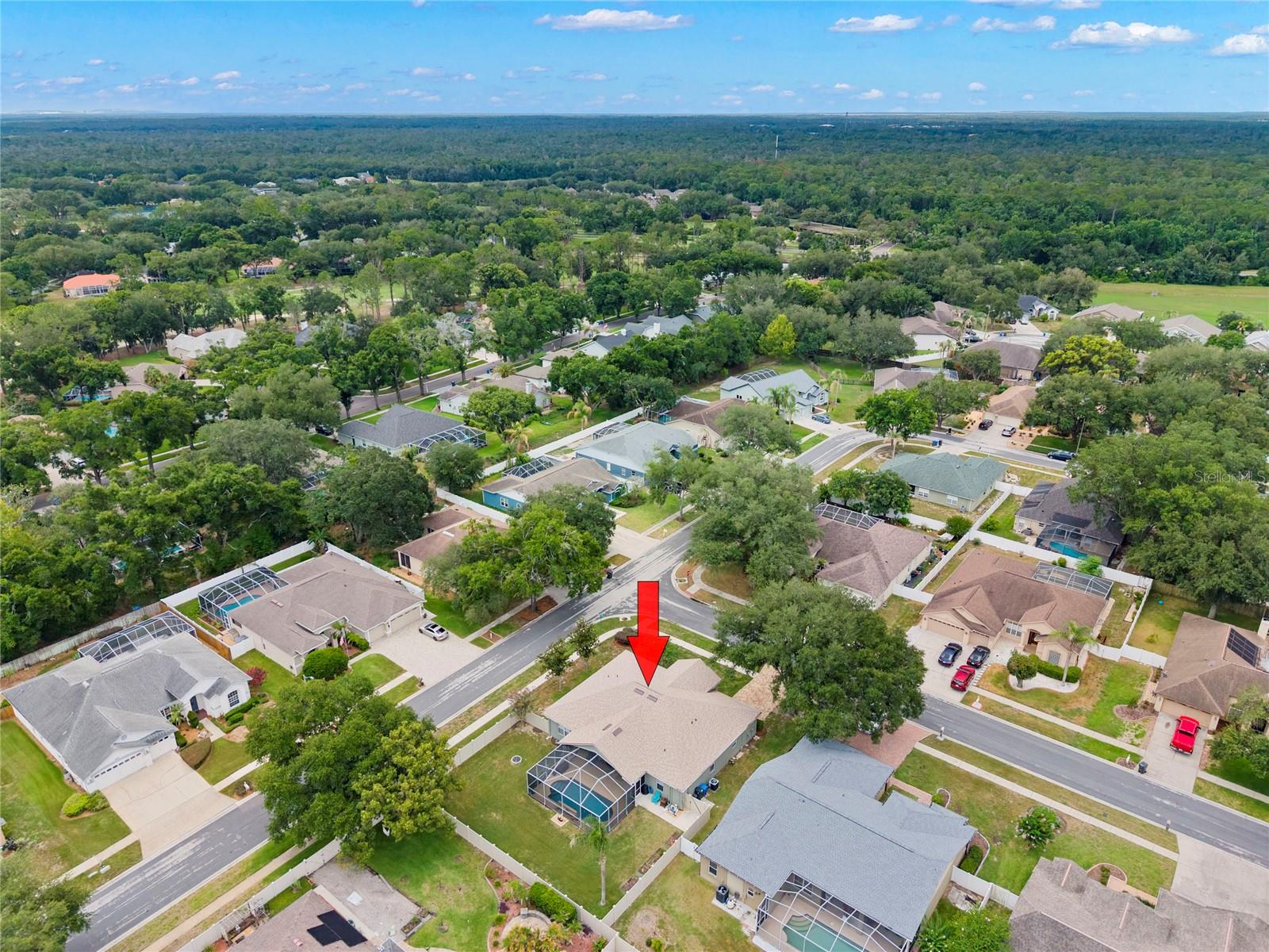 4038 Lithia Ridge Blvd Property Photo 39