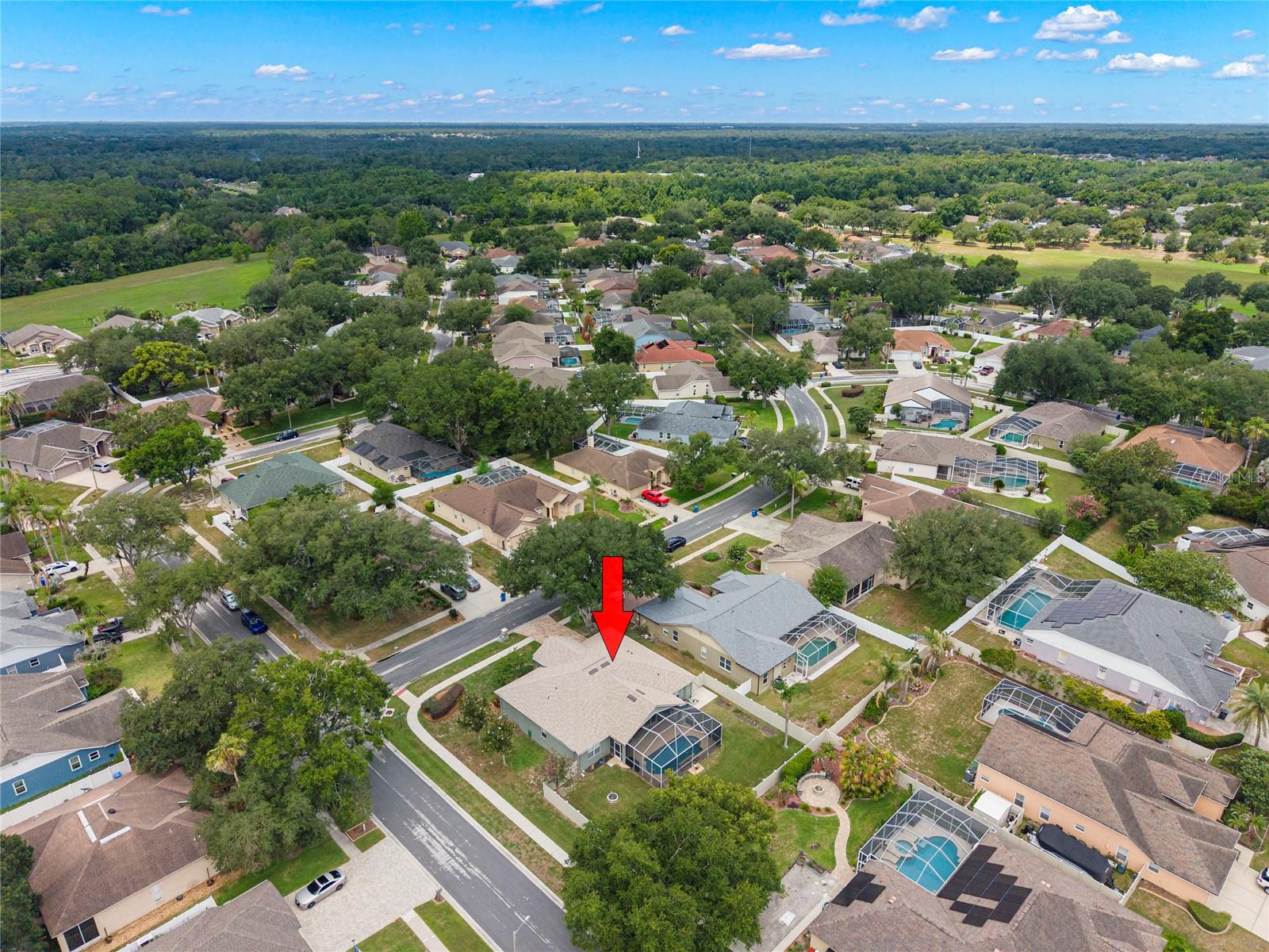 4038 Lithia Ridge Blvd Property Photo 40