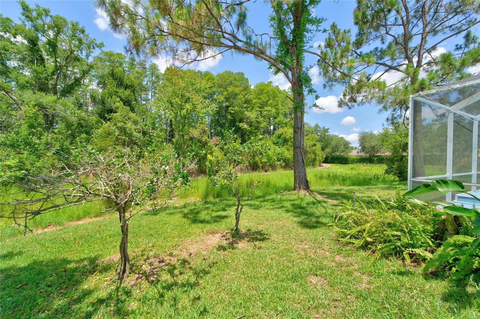 21744 Waverly Shores Ln Property Photo 38