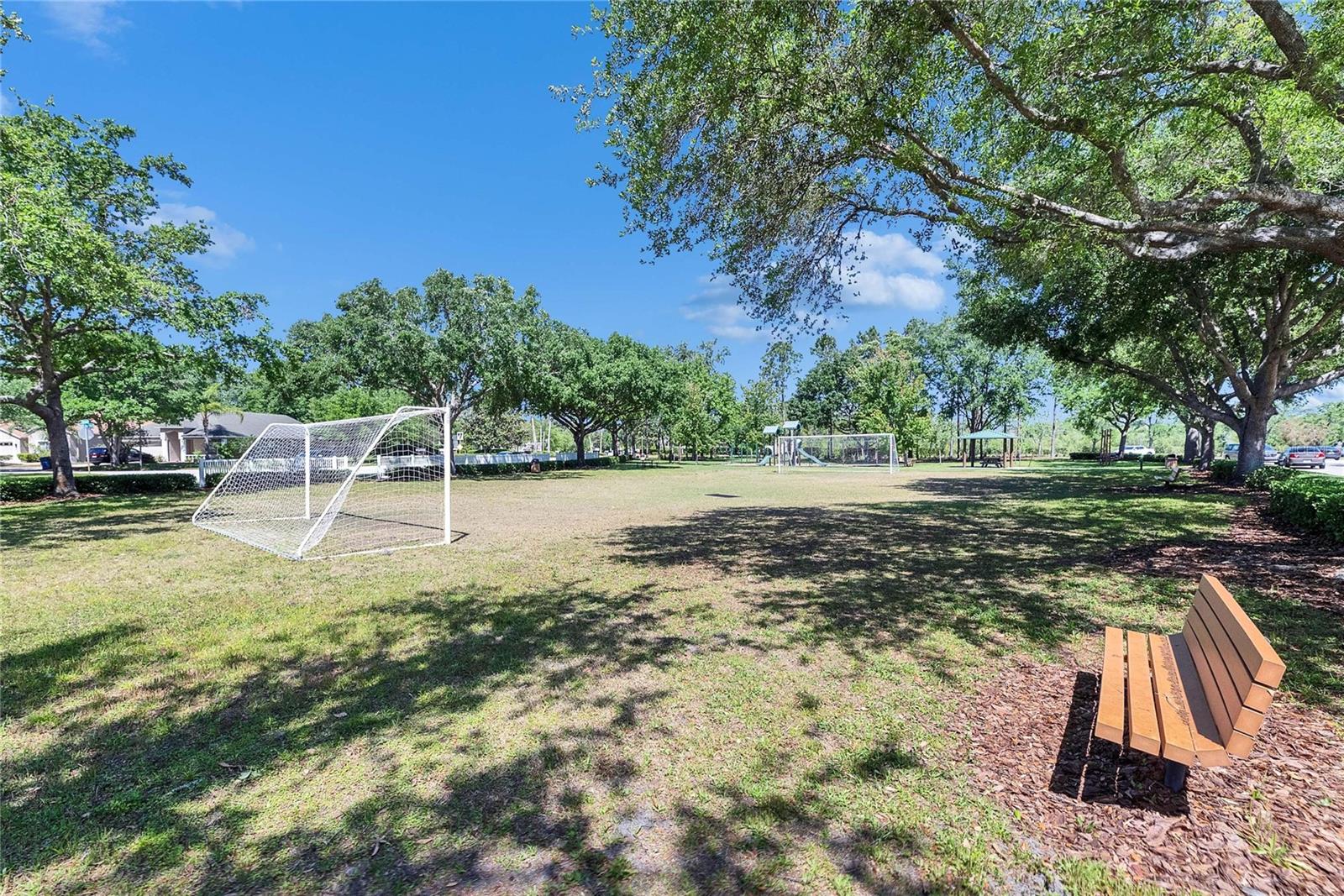 21744 Waverly Shores Ln Property Photo 41