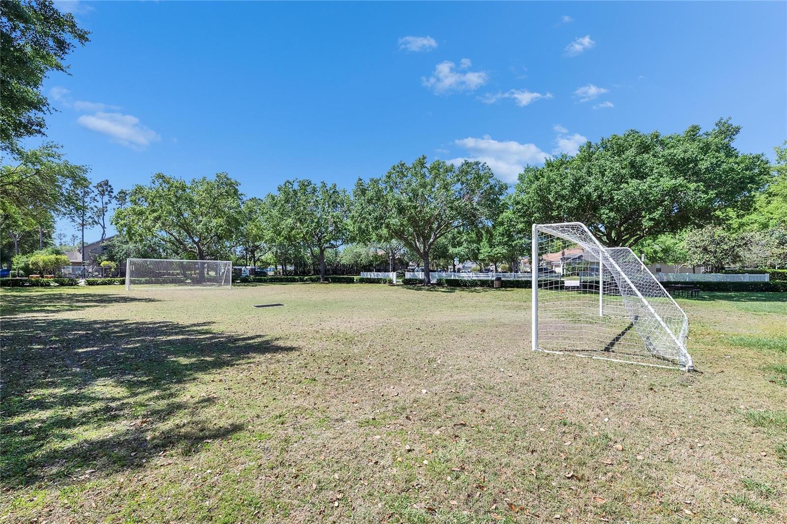 21744 Waverly Shores Ln Property Photo 42