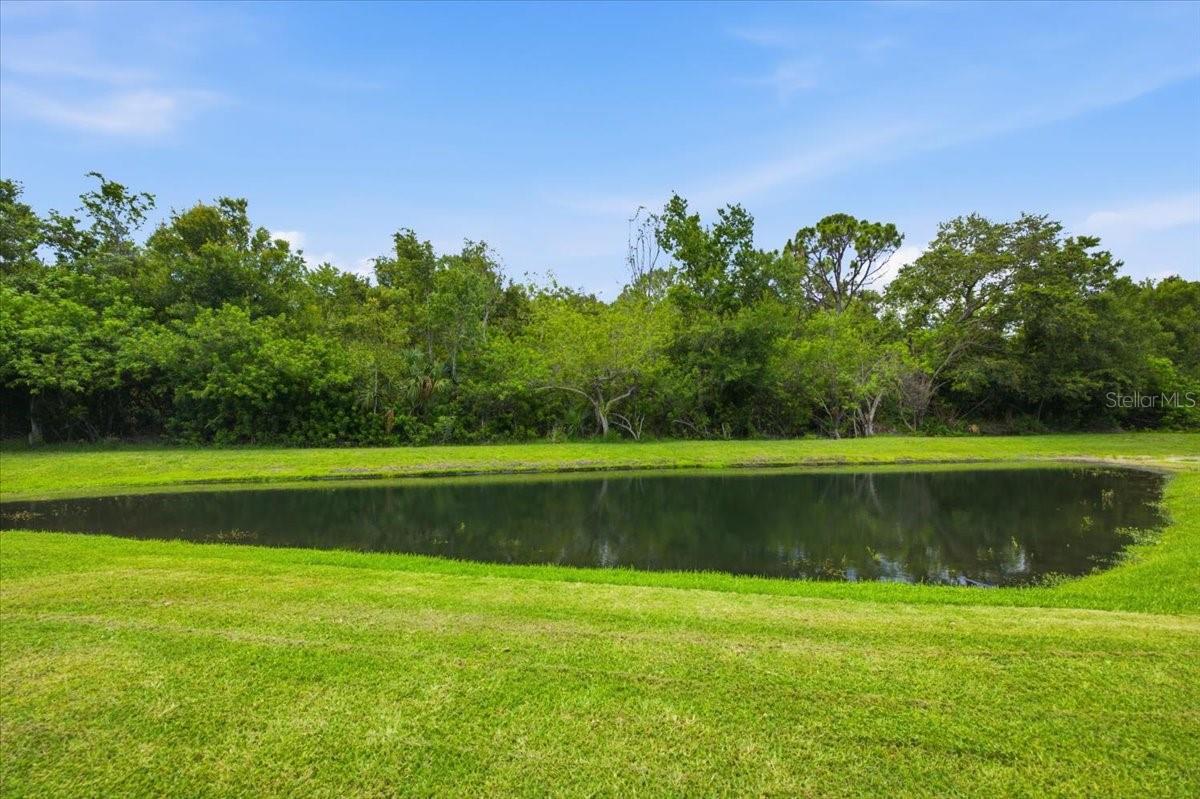 392 Tavernier Cir Property Photo 49
