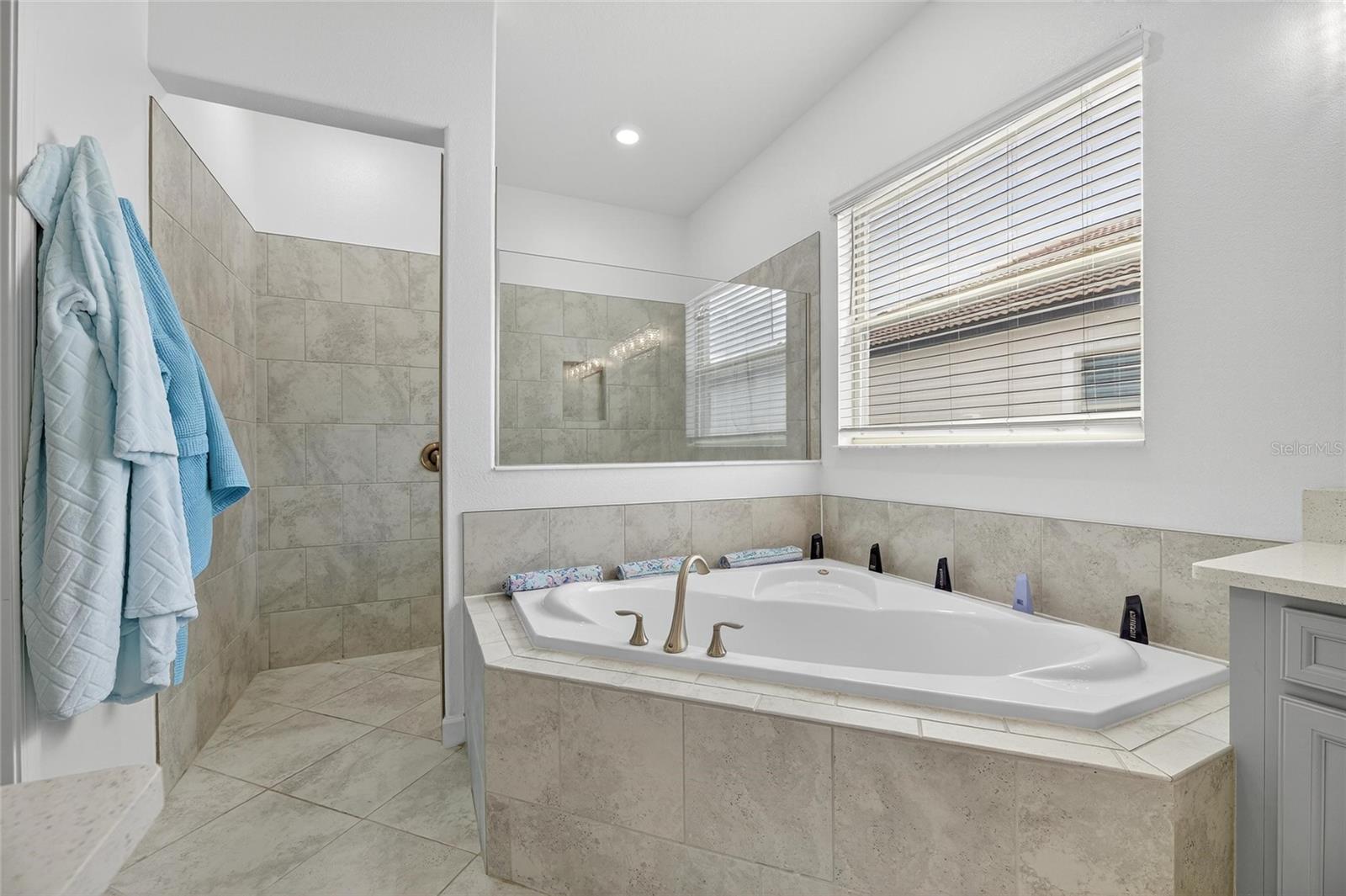 16805 Banner Shell Pl Property Photo 62
