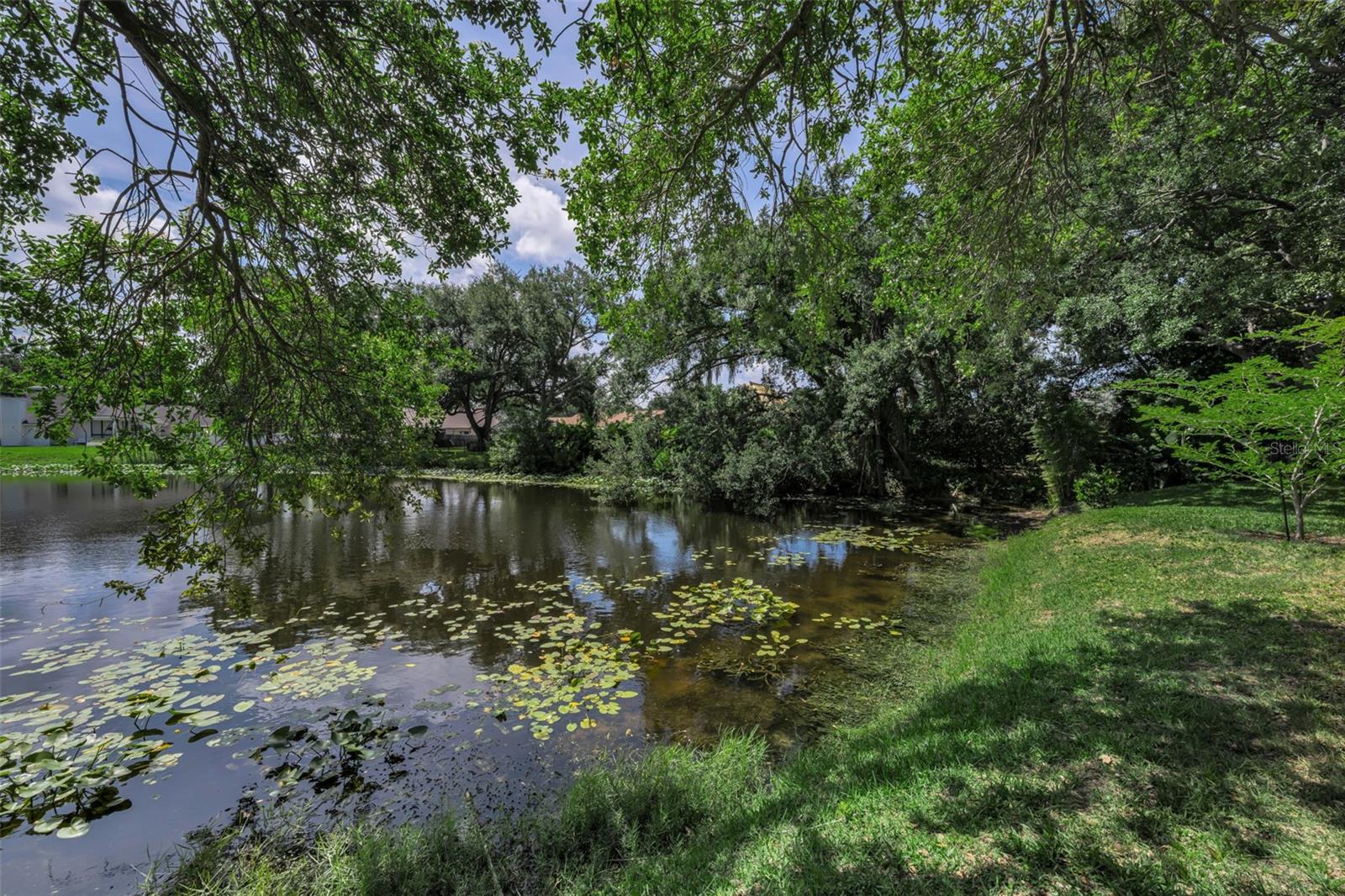 10497 Longwood Dr Property Photo 2