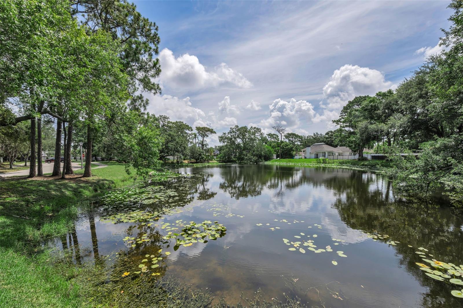 10497 Longwood Dr Property Photo 48