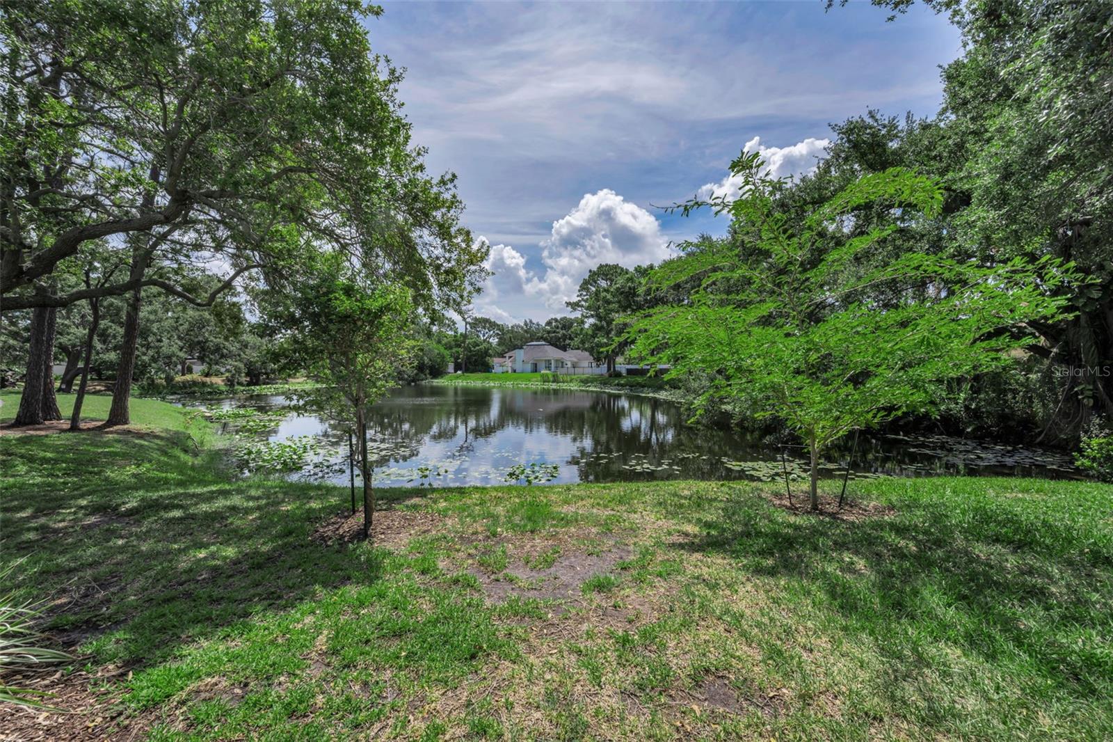 10497 Longwood Dr Property Photo 54