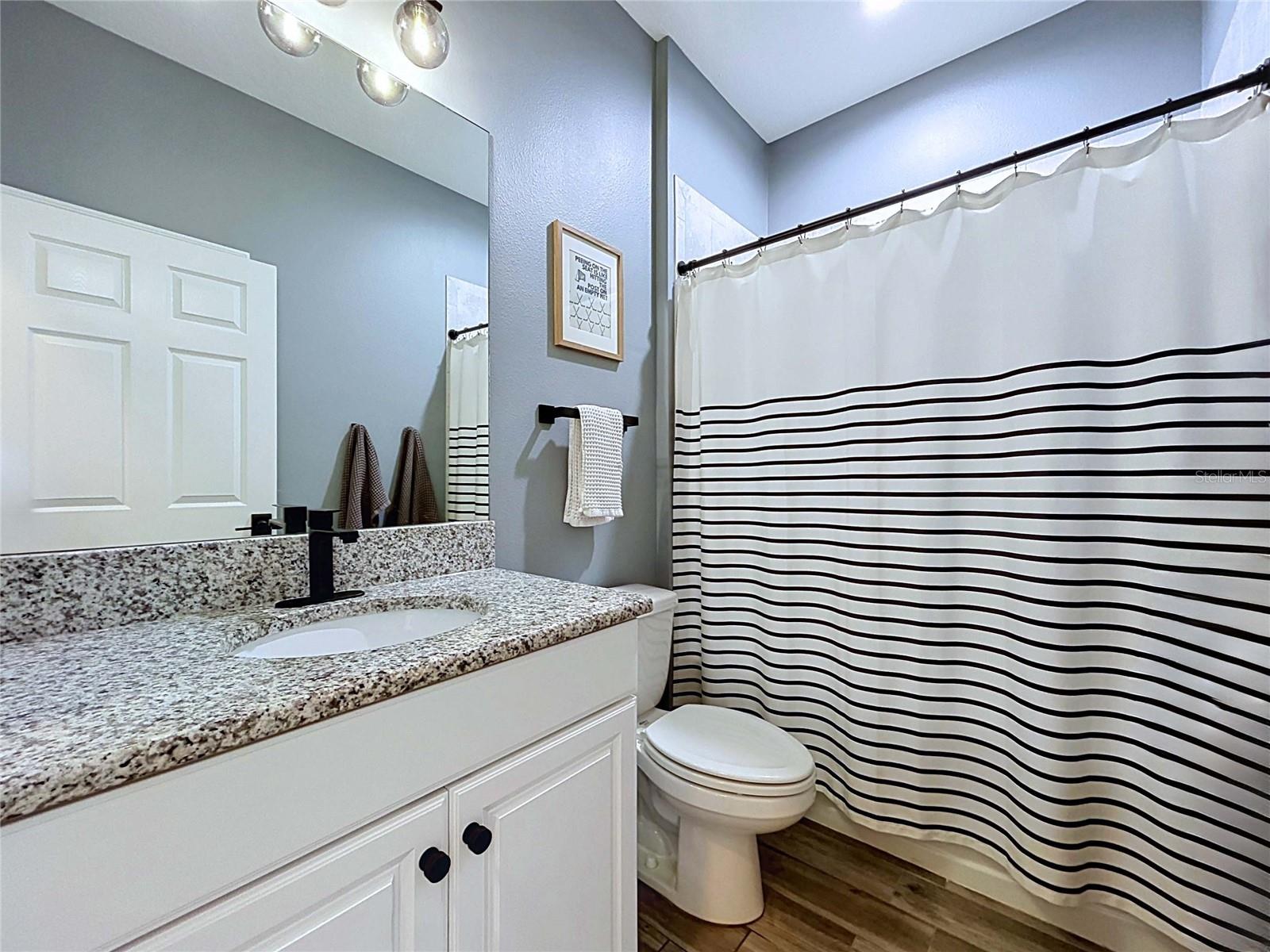 18078 Romanesque Ct Property Photo 49