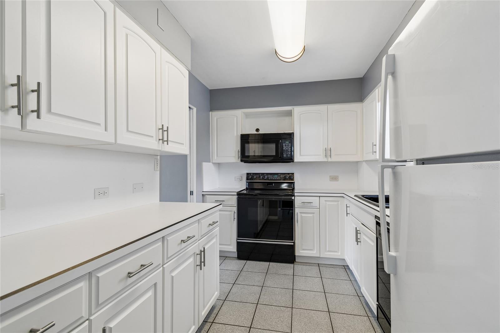 1365 N Snell Isle Blvd Ne #2e Property Photo 5