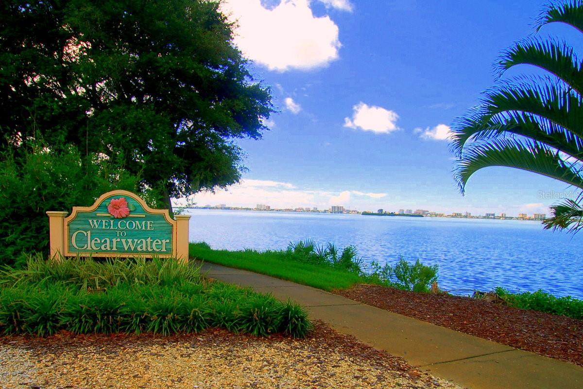 2400 Winding Creek Blvd #20a-109 Property Photo 51