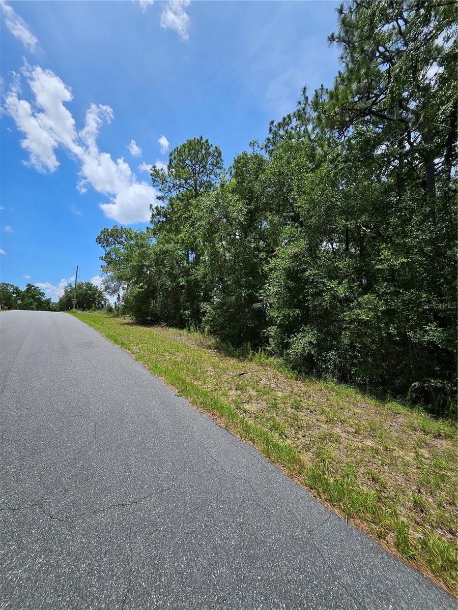 12350 S Elm Pt Property Photo 3