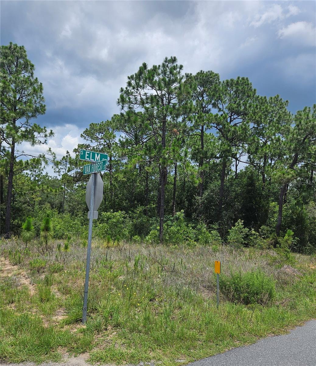 12350 S Elm Pt Property Photo 4