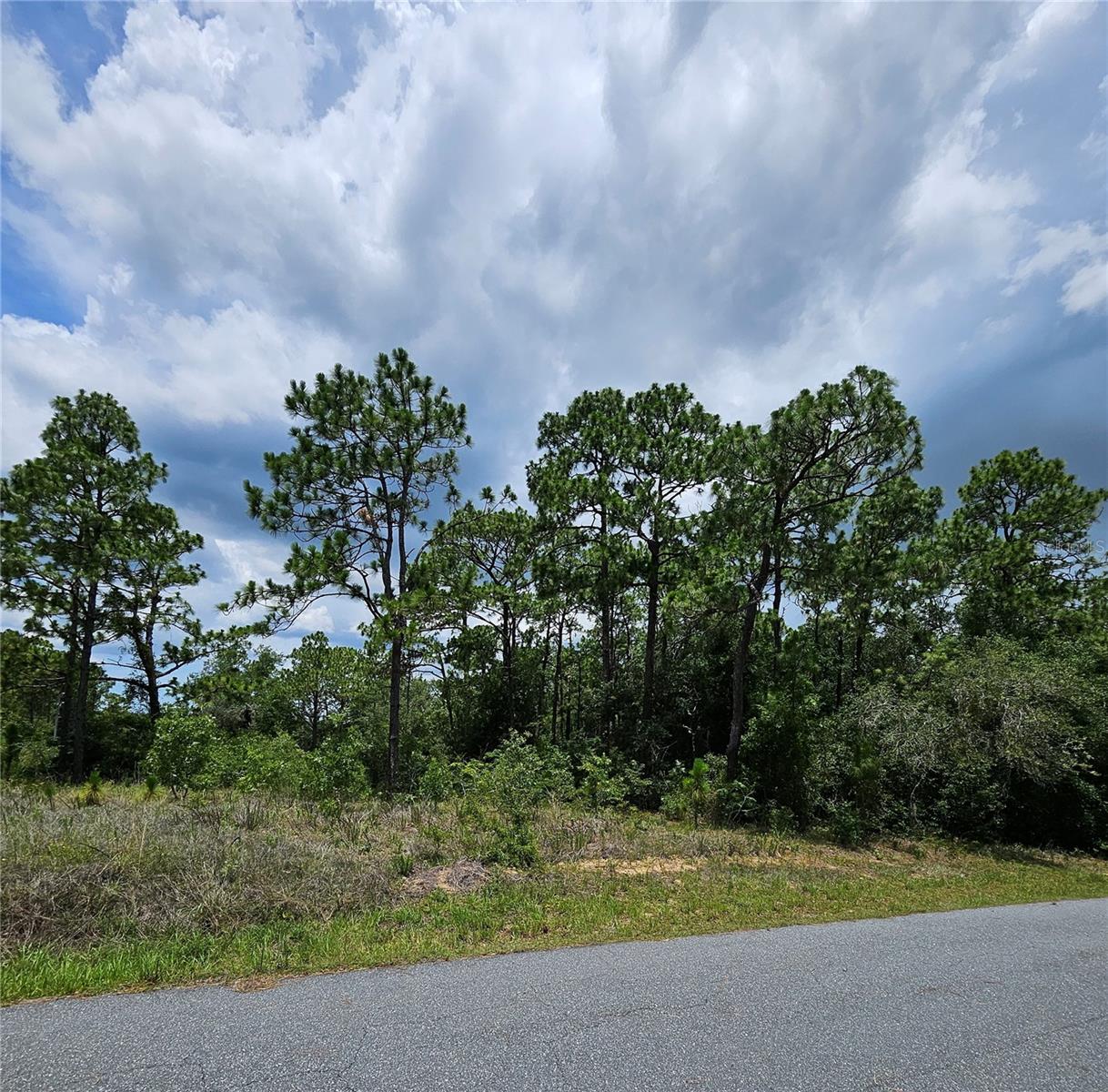 12350 S Elm Pt Property Photo 5