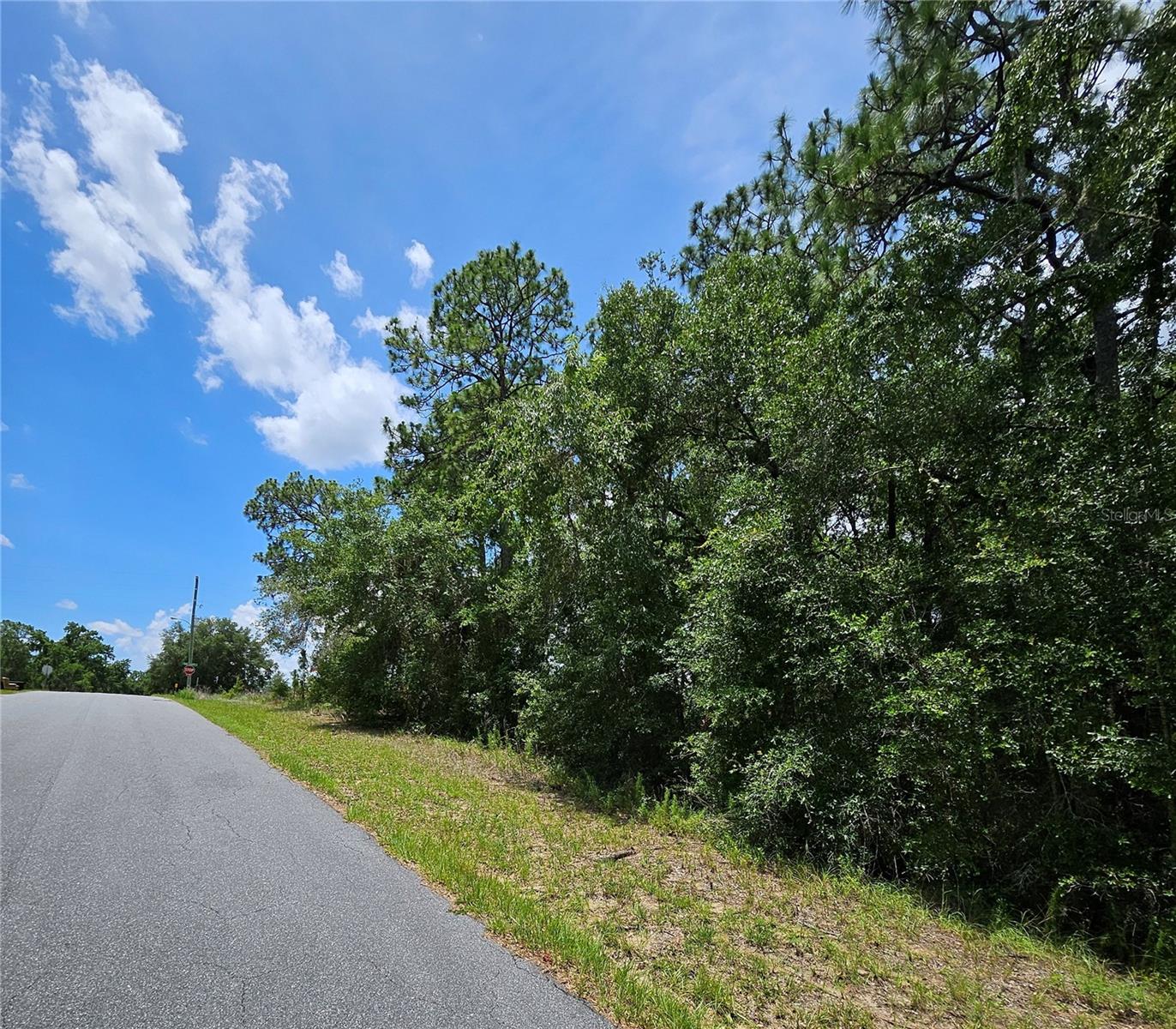 12350 S Elm Pt Property Photo 6
