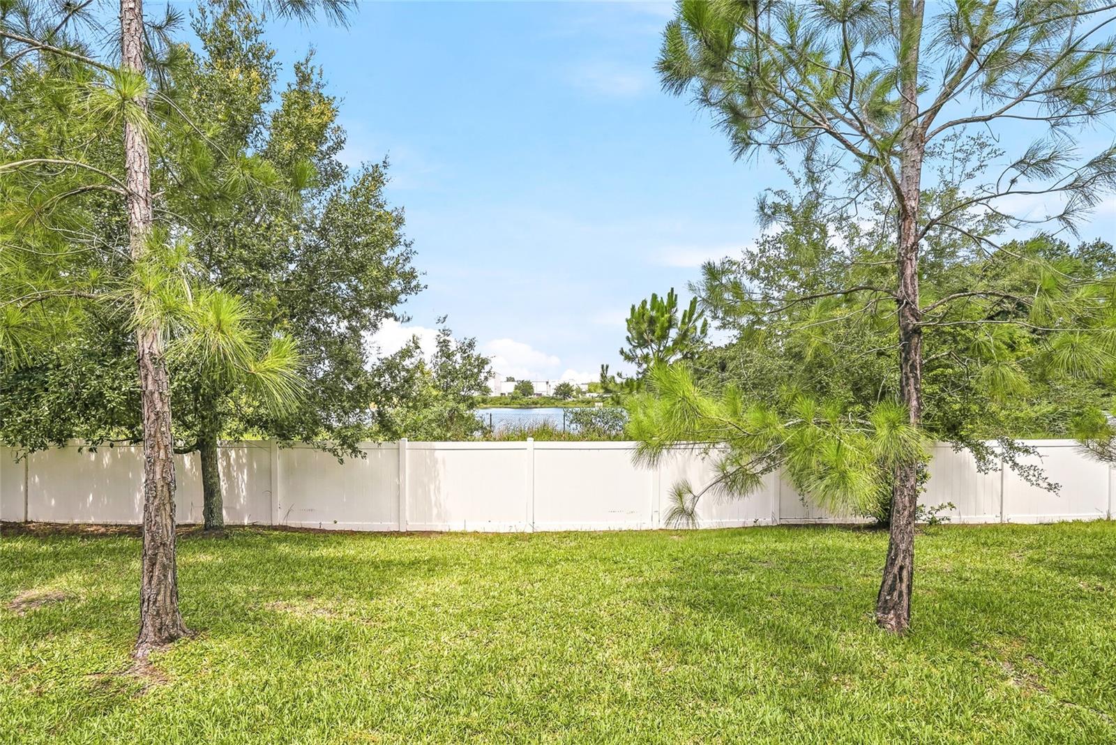12911 Dream Catcher Way Property Photo 44