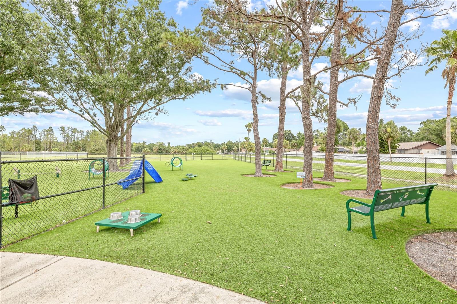 12911 Dream Catcher Way Property Photo 51