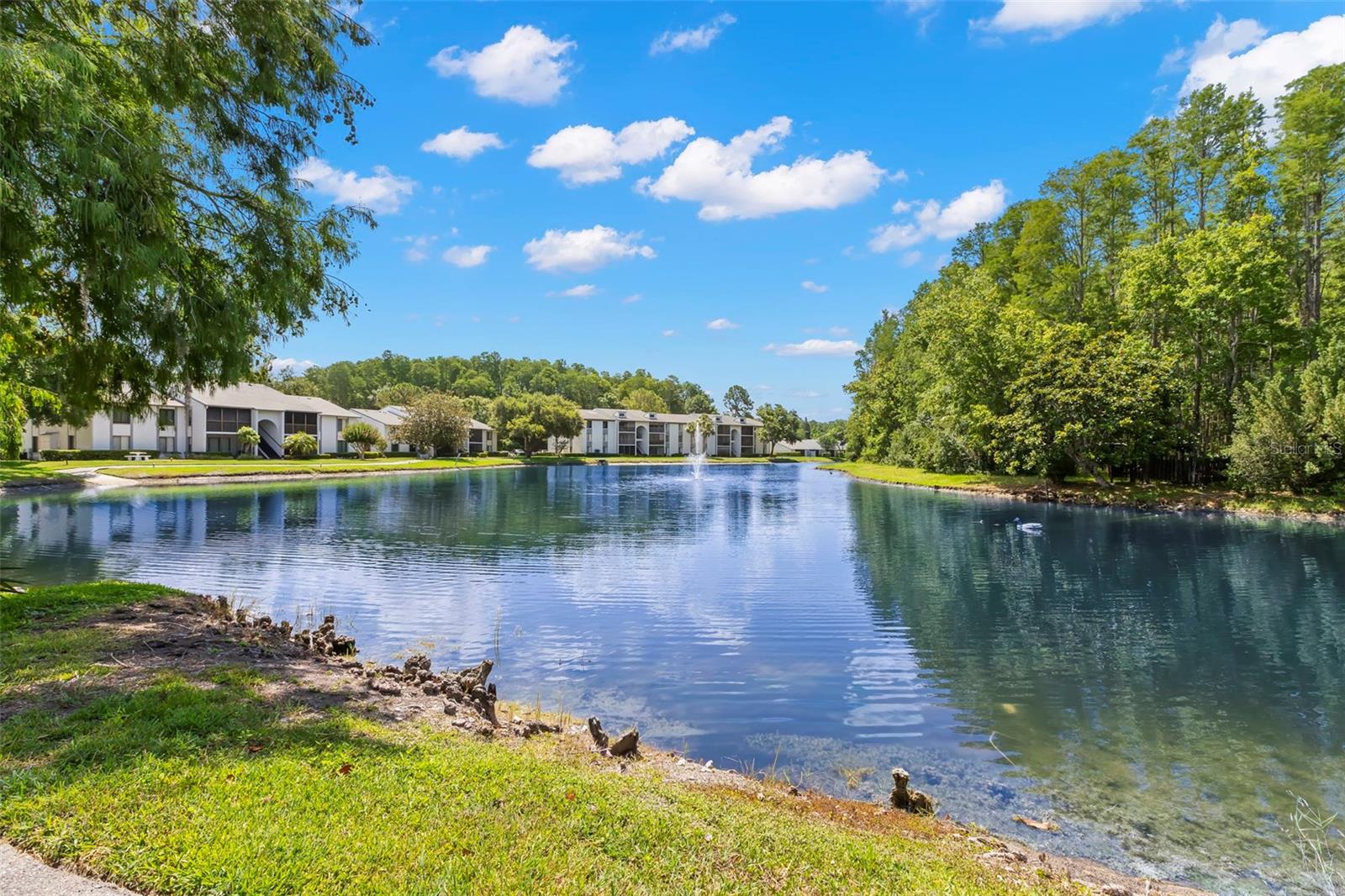 1290 Pine Ridge Cir E #e1 Property Photo 31
