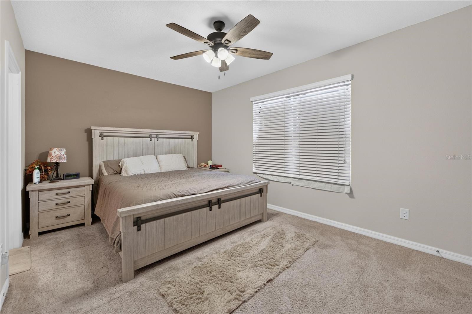 10411 Red Carpet Ct Property Photo 47