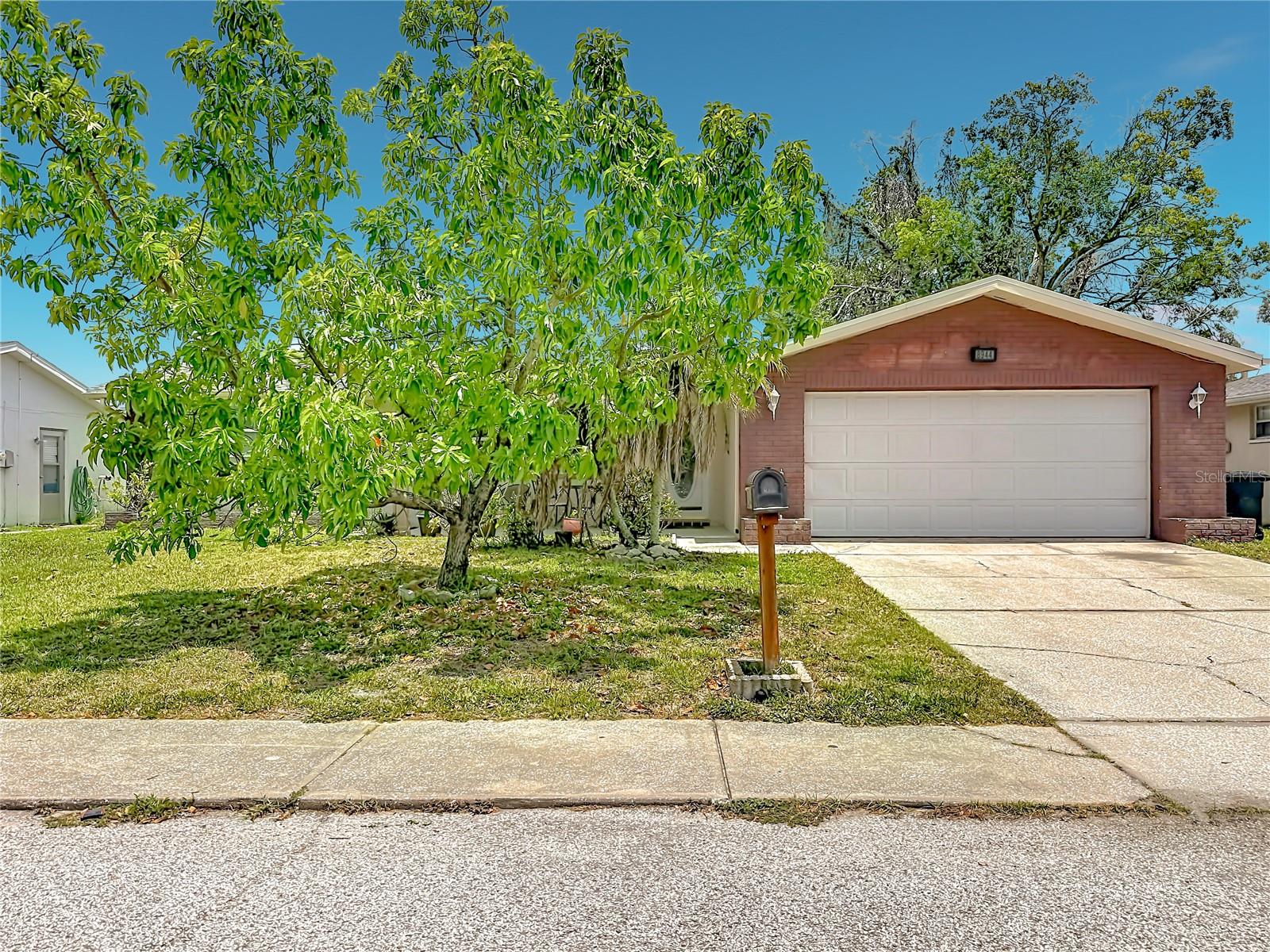 8944 Ledgestone Ln Property Photo 4