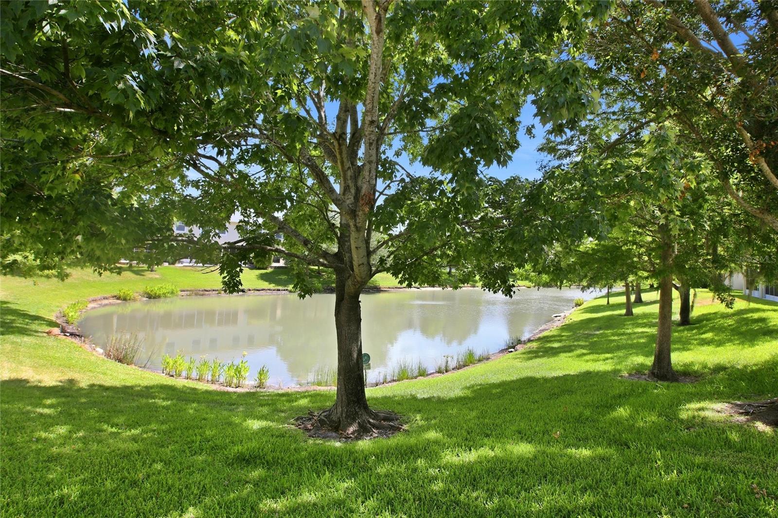477 Harbor Ridge Dr Property Photo 38