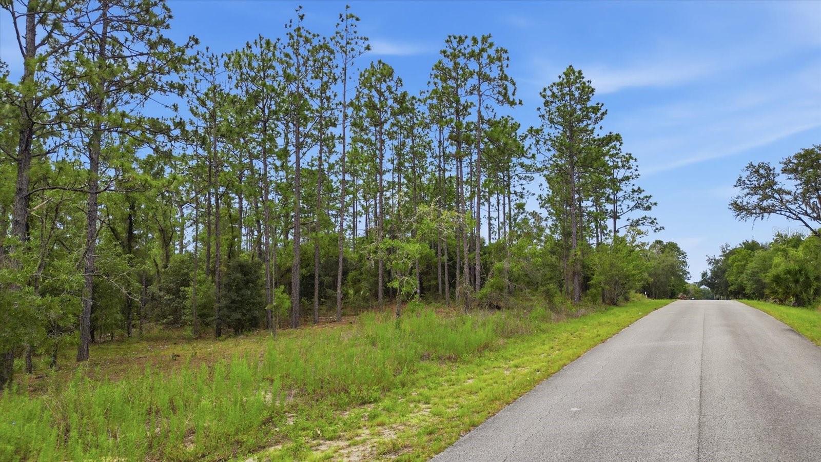 0000 Sw Sands Point Ave Lot 38 Property Photo 2