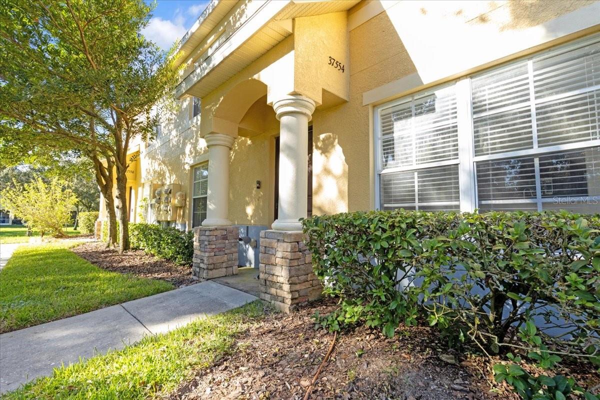 37554 DALIHA TER Property Photo 1