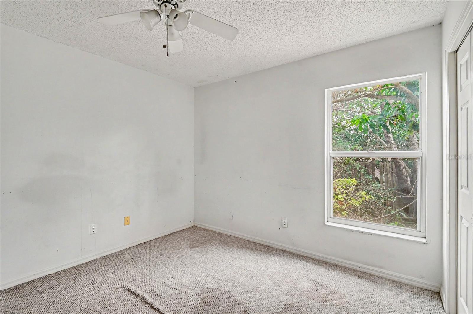 4716 Spaniel St Property Photo 19