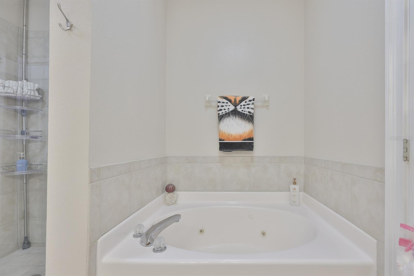 6432 Sunset Bay Cir Property Photo 35