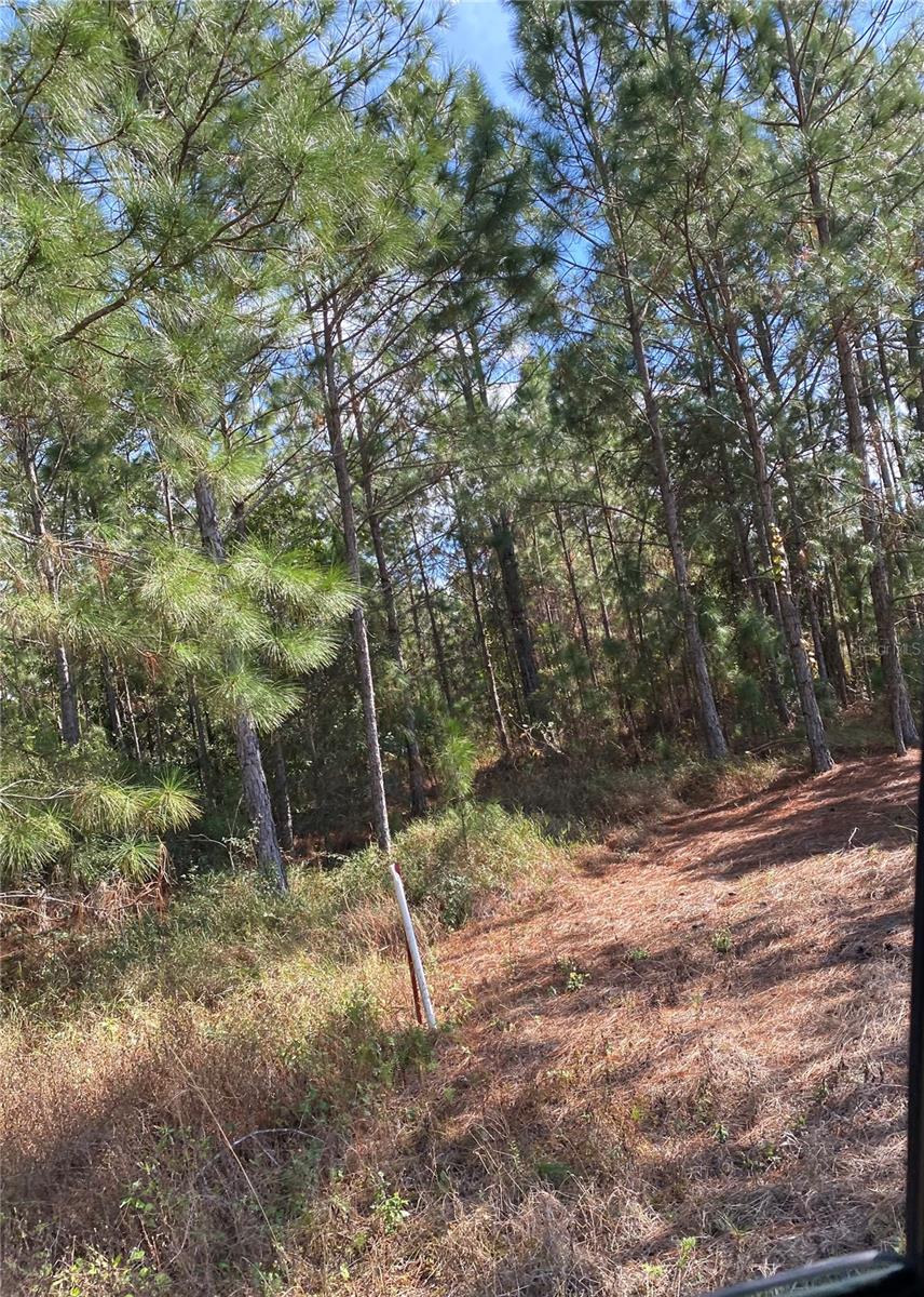 TB8522129 Property Photo 1