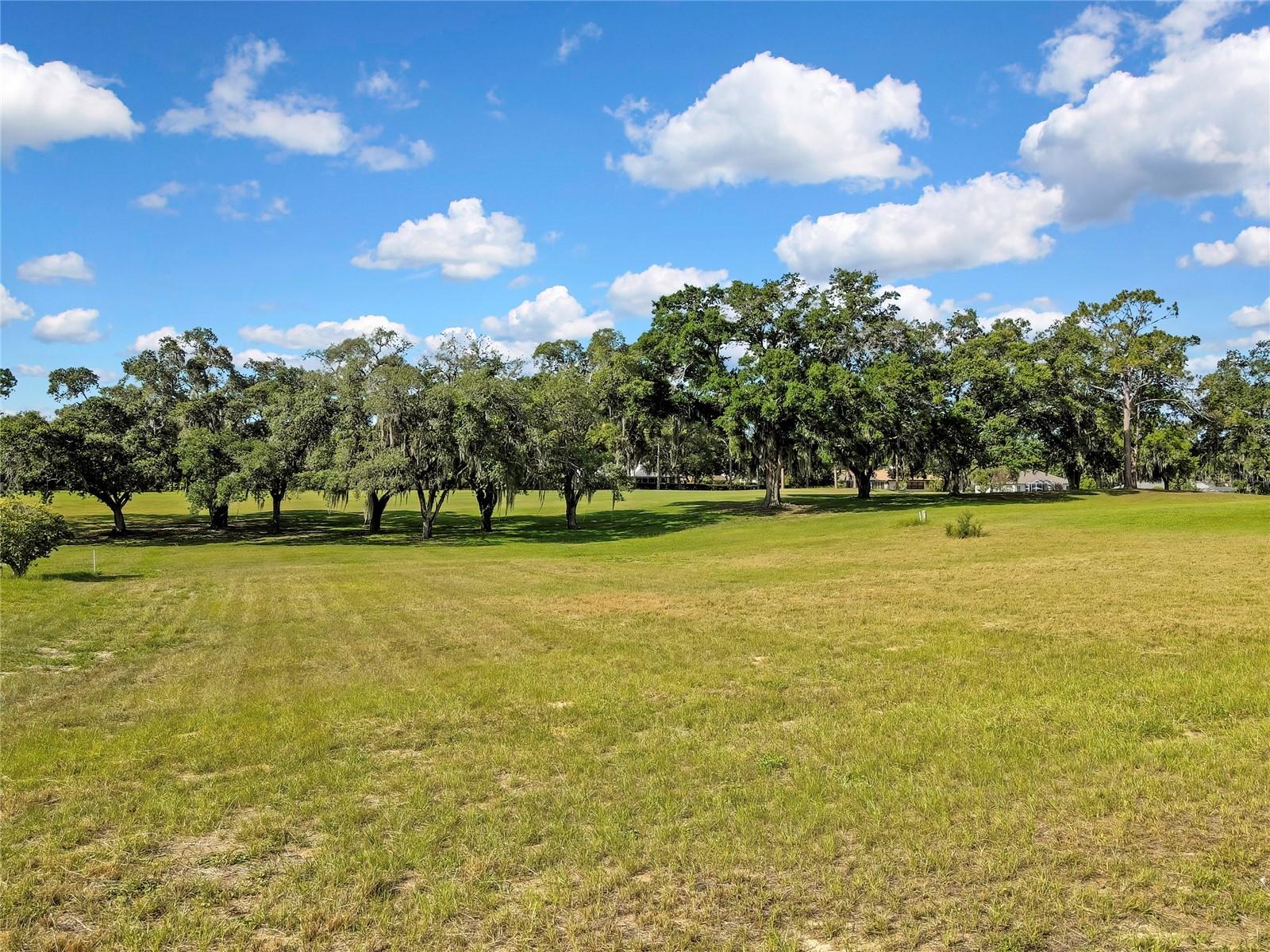 368 E Falconry Ct Property Photo 4
