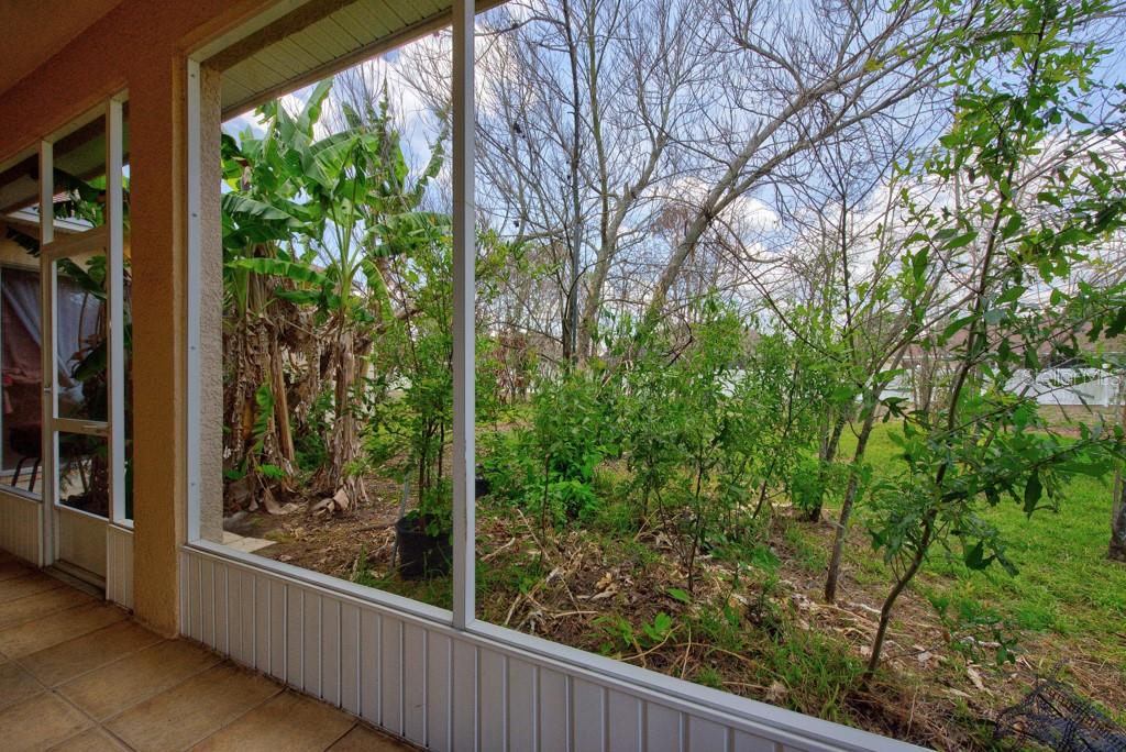 306 Terranova Blvd Property Photo 40