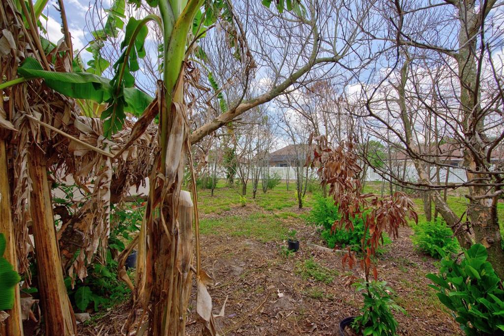 306 Terranova Blvd Property Photo 41