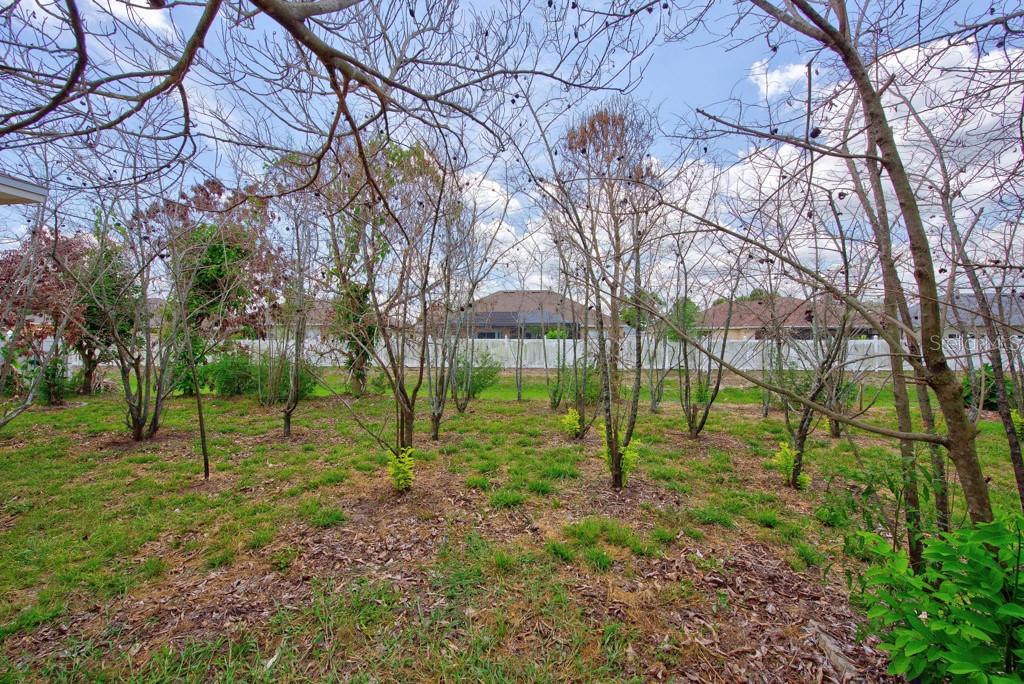 306 Terranova Blvd Property Photo 42
