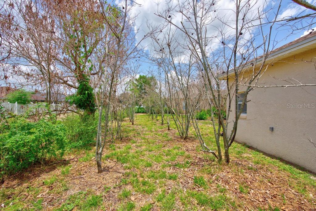 306 Terranova Blvd Property Photo 45